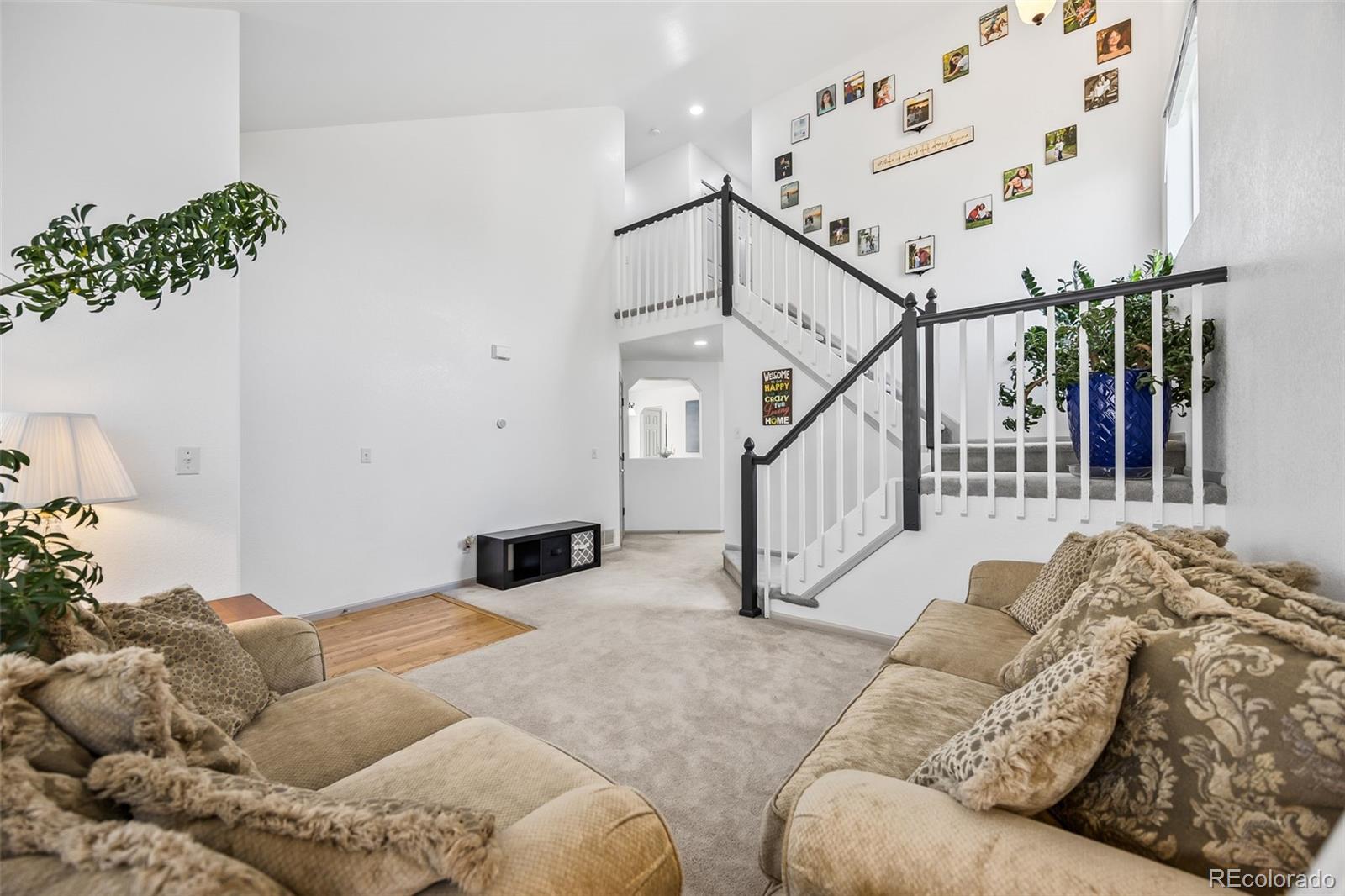 MLS Image #5 for 10530  mount columbia place,parker, Colorado