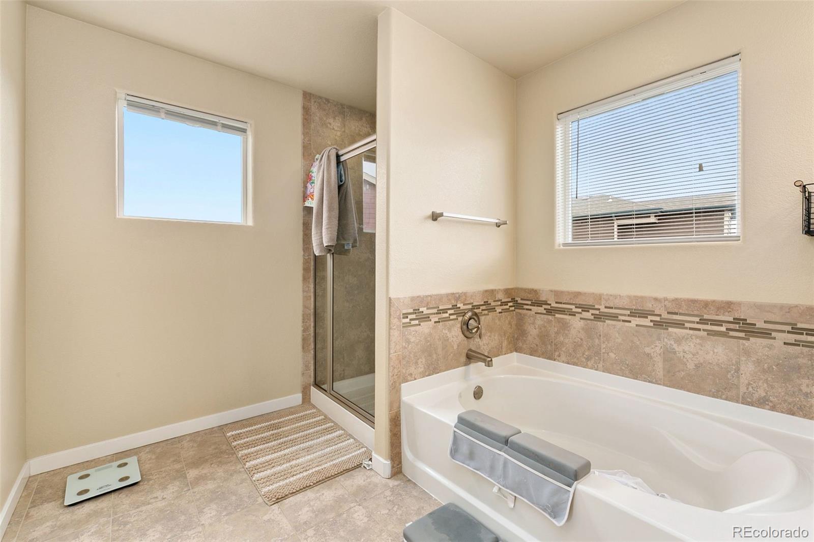 MLS Image #11 for 3001  nebula court,loveland, Colorado