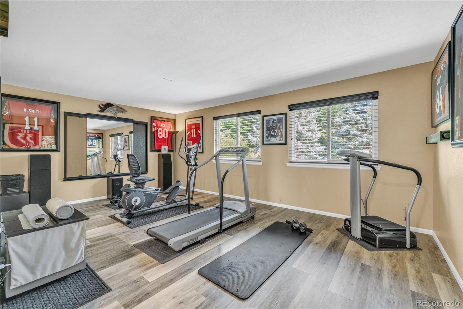 MLS Image #28 for 9856  glenstone trail,highlands ranch, Colorado