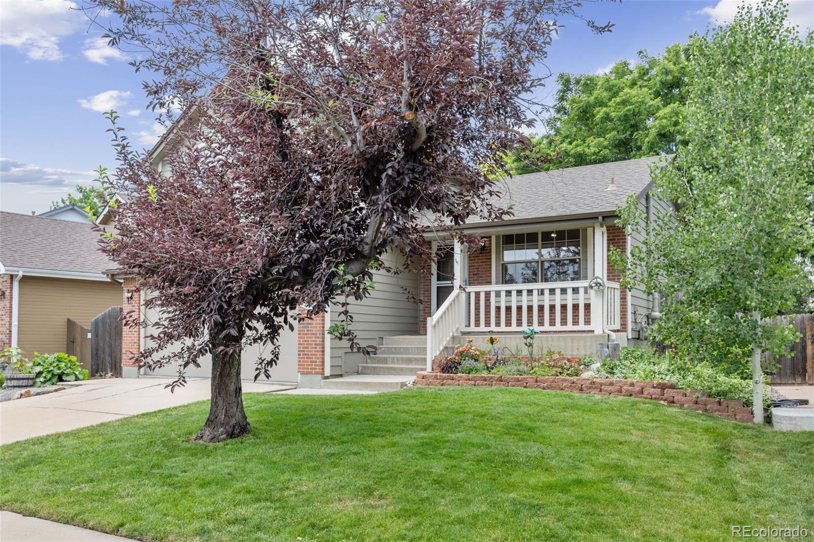 MLS Image #2 for 12193  deerfield way,broomfield, Colorado