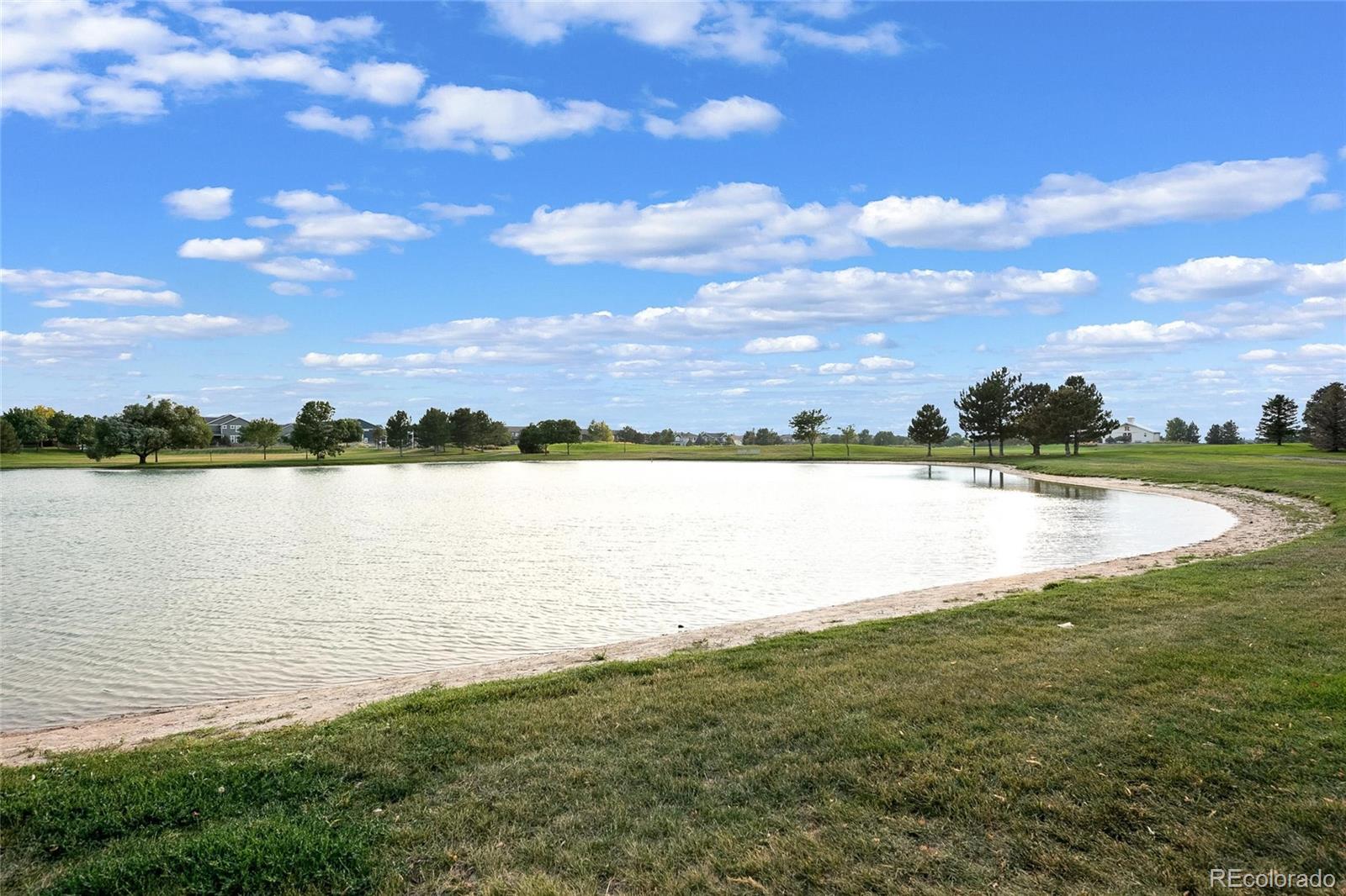 MLS Image #15 for 17970 e 106th place,commerce city, Colorado