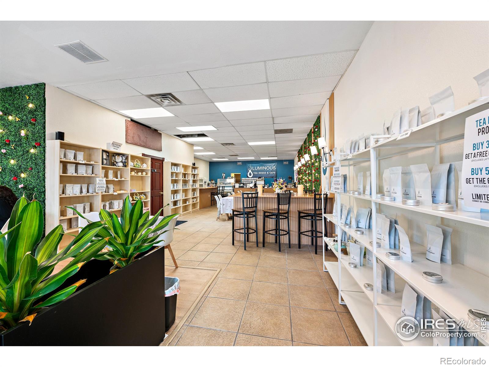 MLS Image #4 for 624  main street,longmont, Colorado