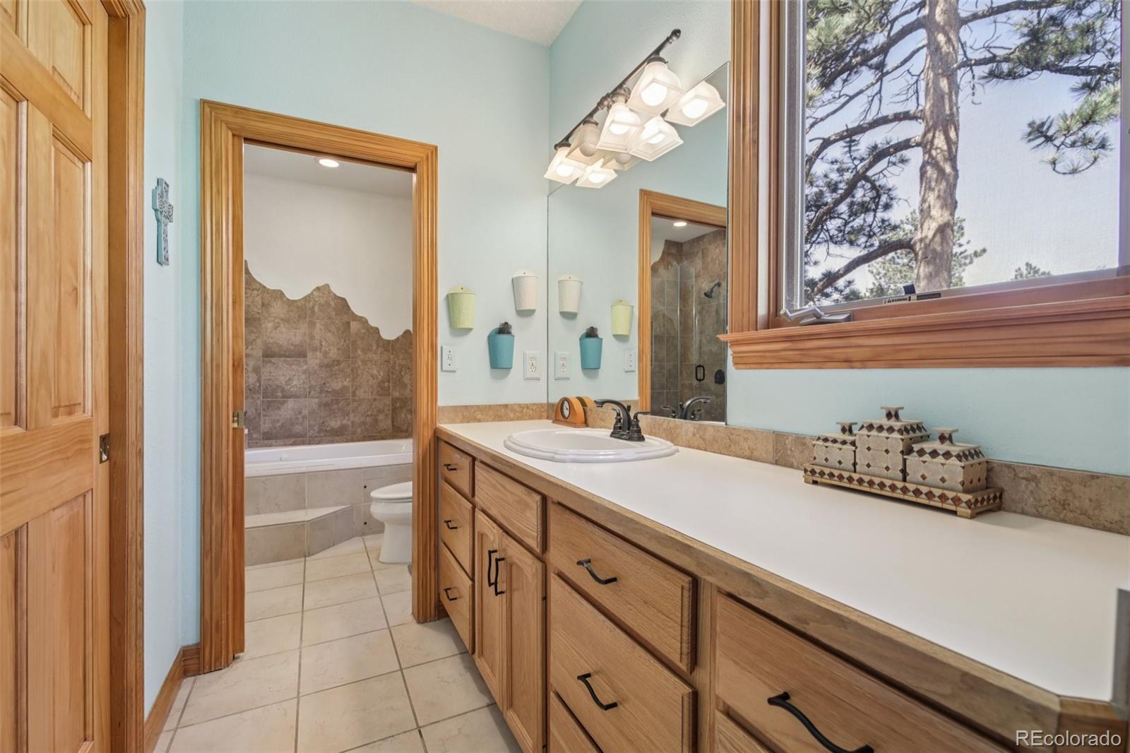 MLS Image #12 for 30206  telluride lane,evergreen, Colorado