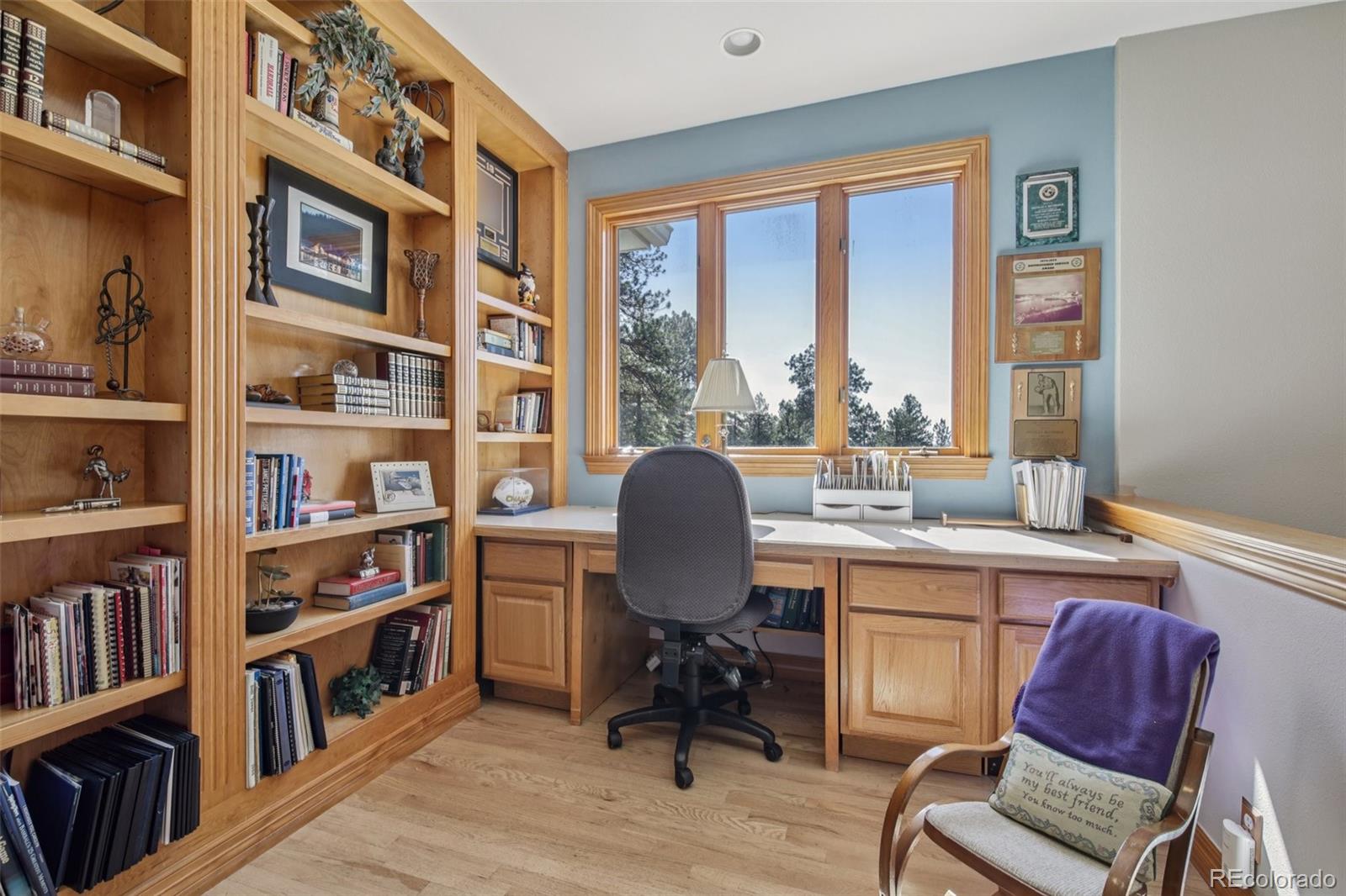 MLS Image #15 for 30206  telluride lane,evergreen, Colorado