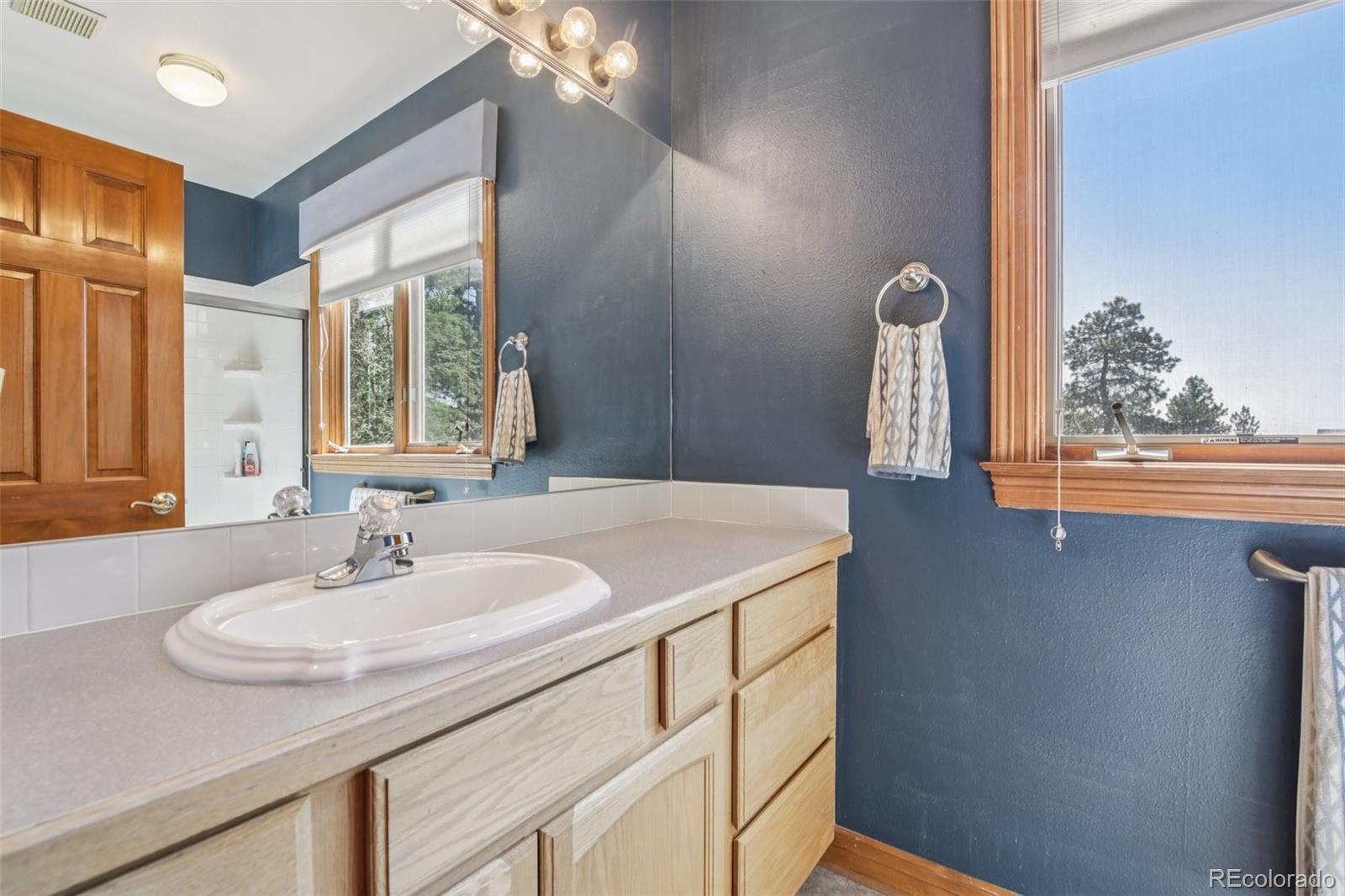 MLS Image #17 for 30206  telluride lane,evergreen, Colorado