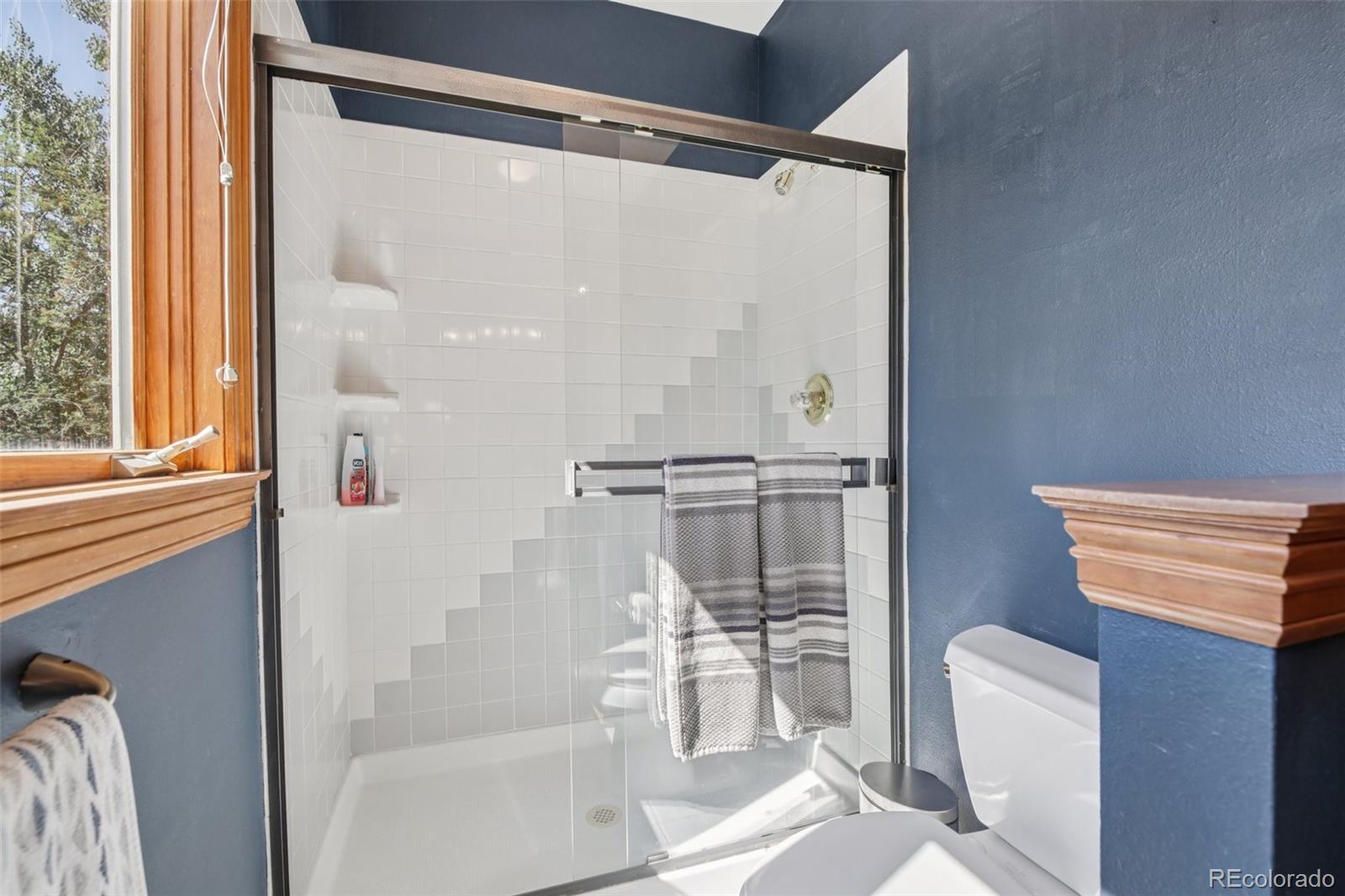 MLS Image #18 for 30206  telluride lane,evergreen, Colorado
