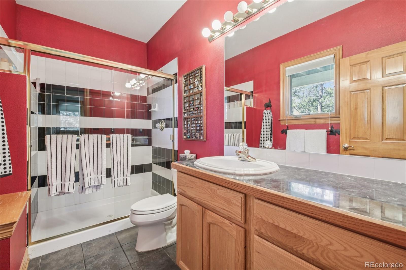 MLS Image #25 for 30206  telluride lane,evergreen, Colorado