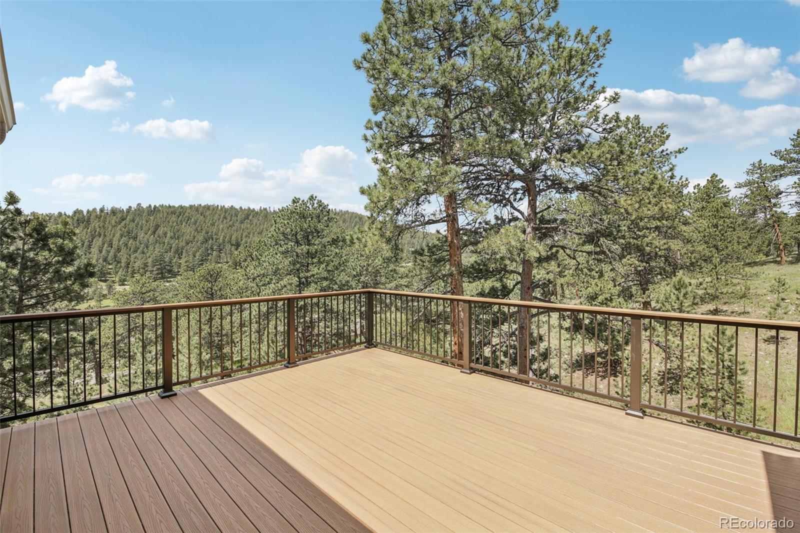 MLS Image #31 for 30206  telluride lane,evergreen, Colorado