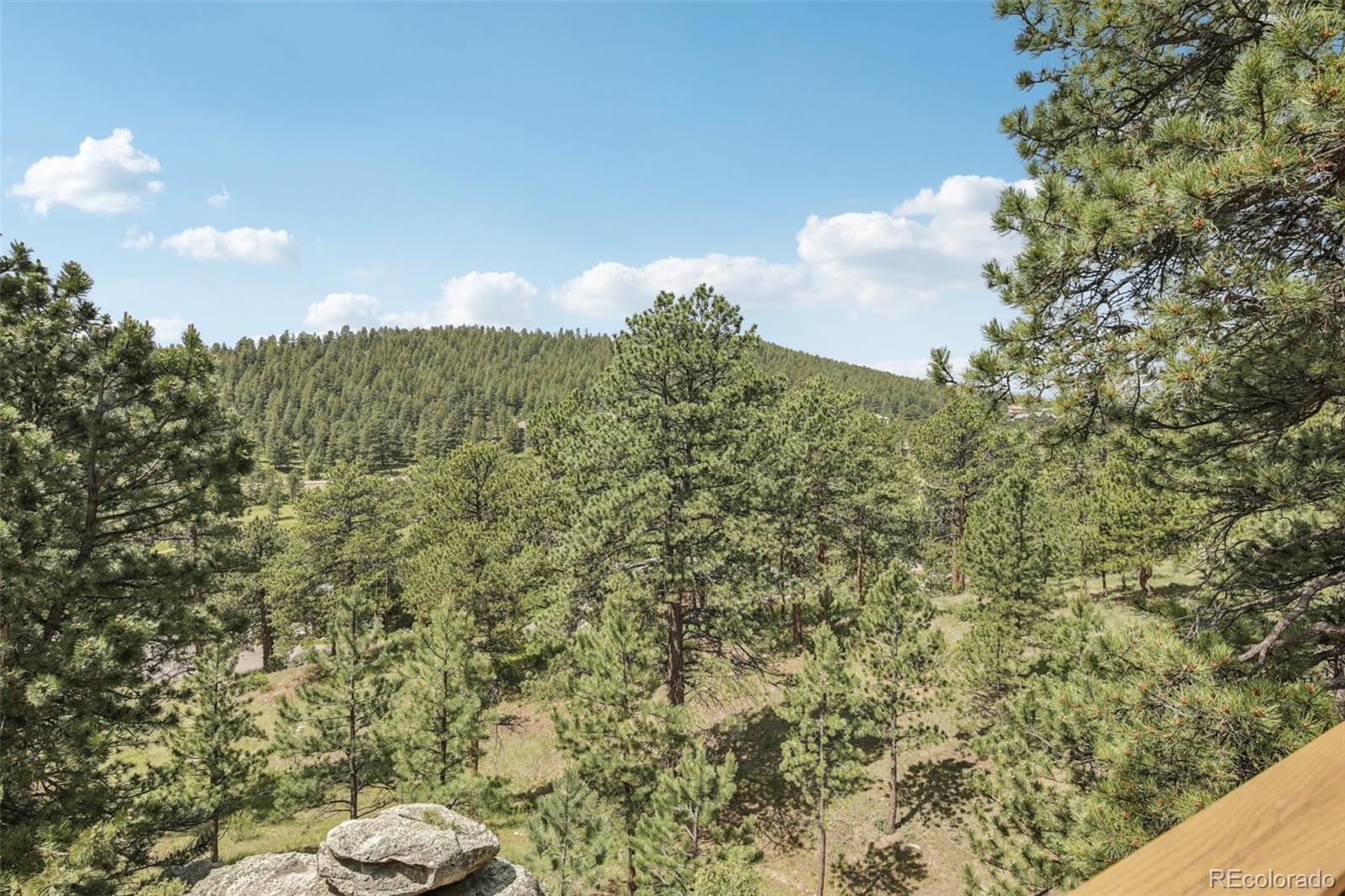 MLS Image #32 for 30206  telluride lane,evergreen, Colorado