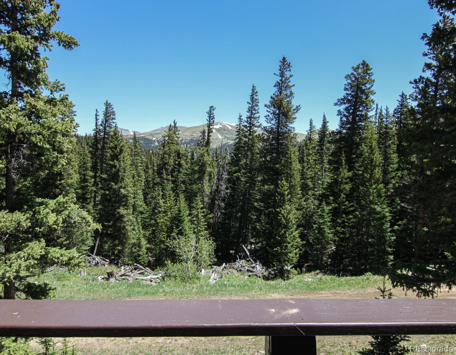 MLS Image #11 for 135  nugget lane,alma, Colorado