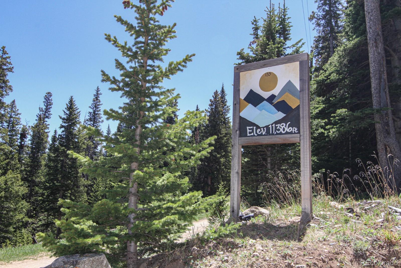 MLS Image #20 for 135  nugget lane,alma, Colorado