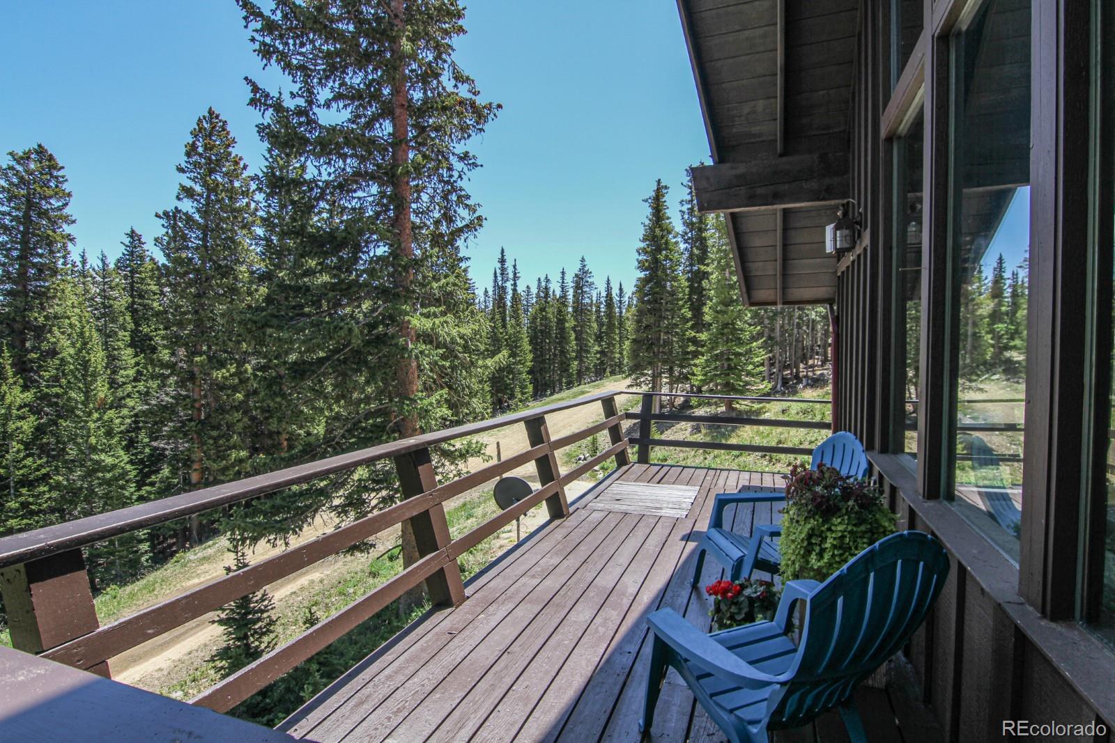 MLS Image #35 for 135  nugget lane,alma, Colorado