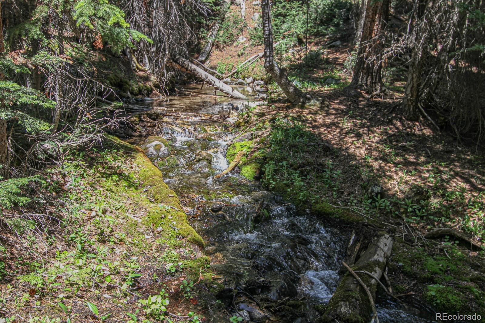MLS Image #38 for 135  nugget lane,alma, Colorado