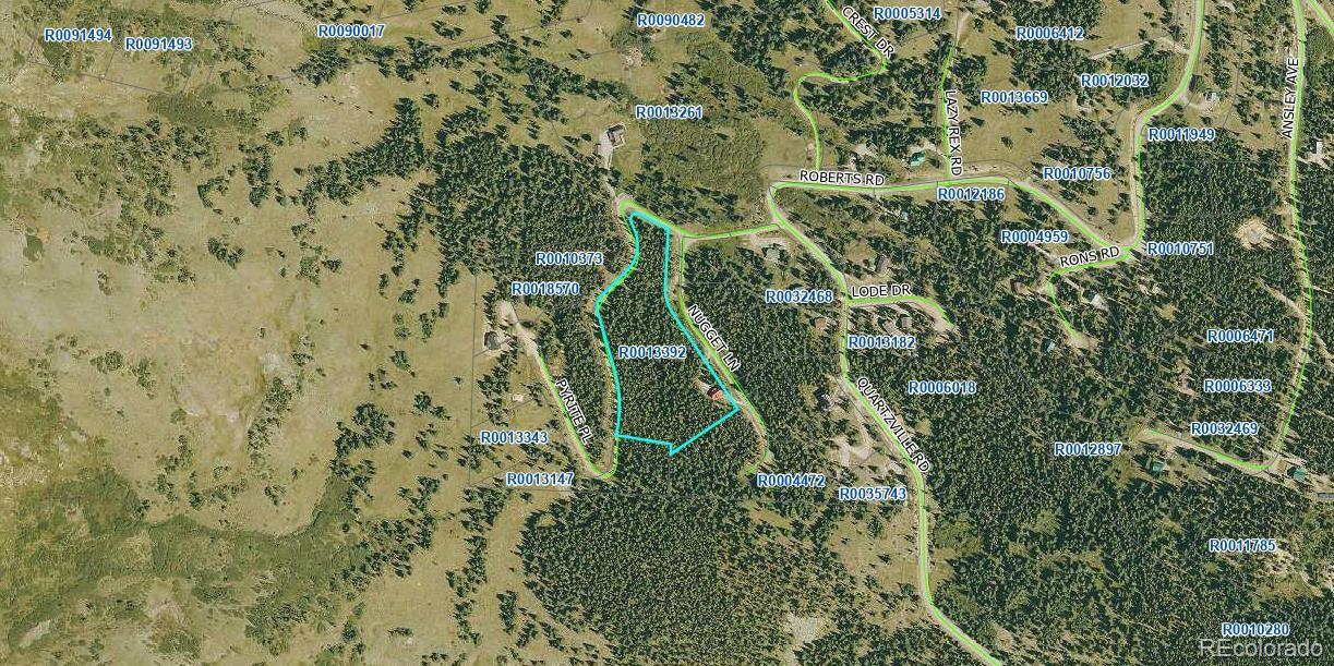 MLS Image #39 for 135  nugget lane,alma, Colorado