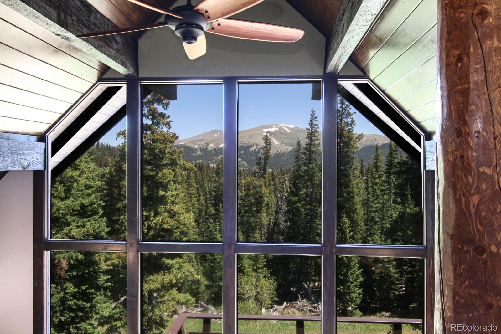 MLS Image #4 for 135  nugget lane,alma, Colorado