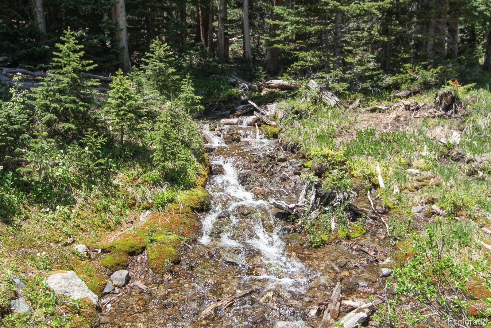 MLS Image #42 for 135  nugget lane,alma, Colorado