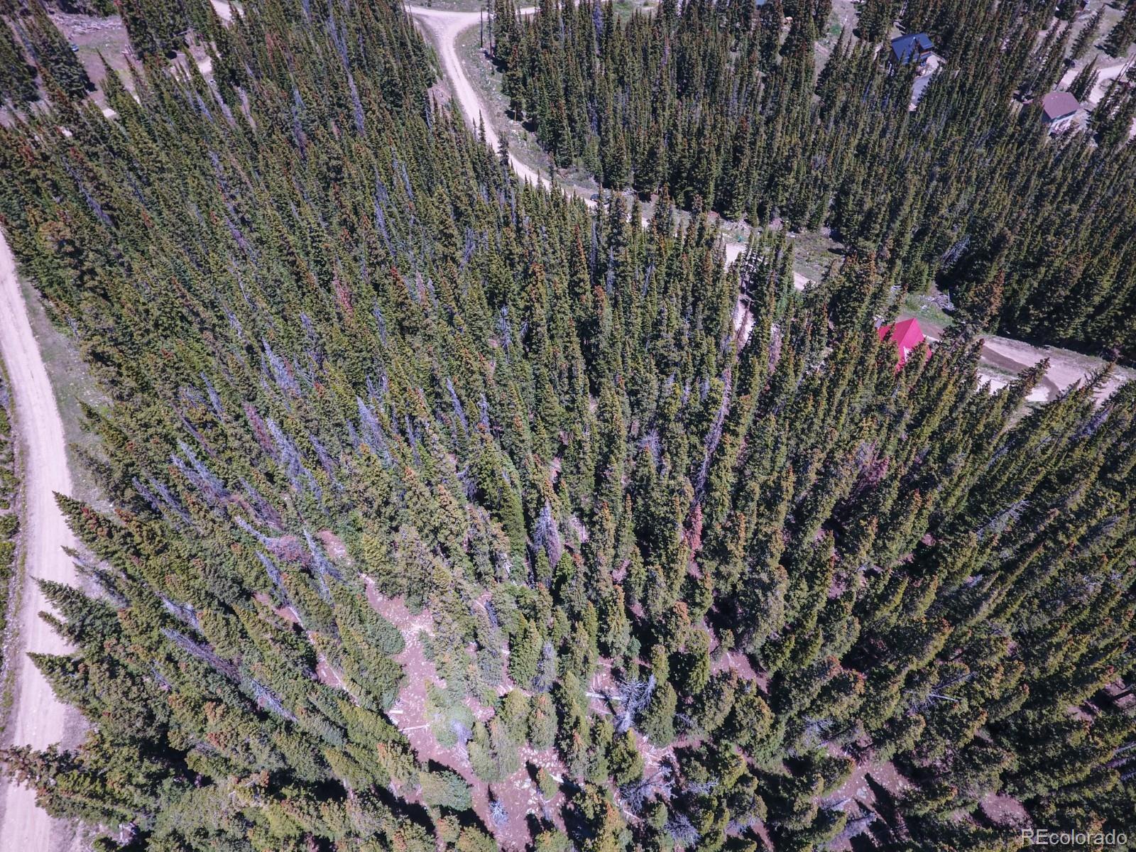 MLS Image #44 for 135  nugget lane,alma, Colorado