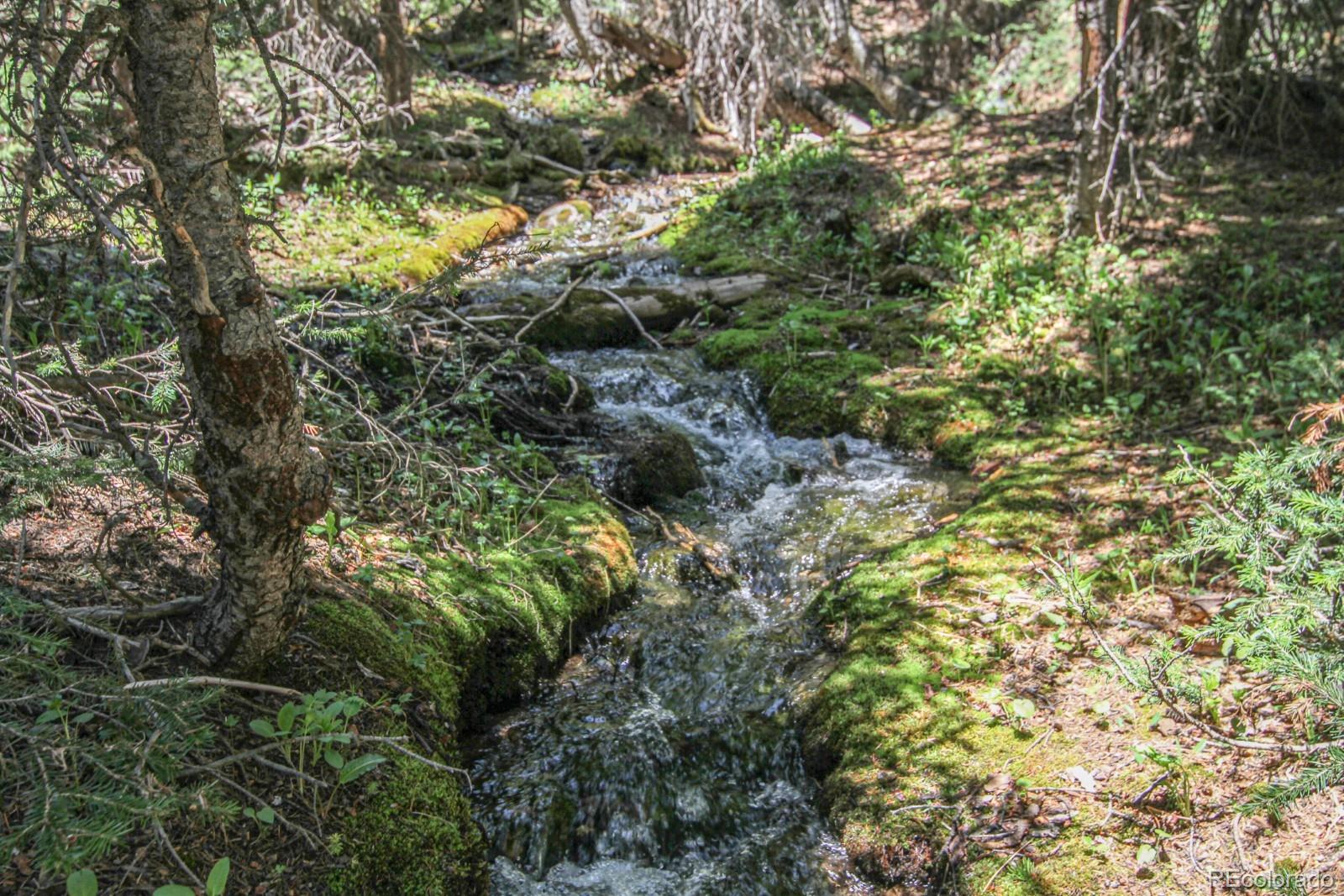 MLS Image #46 for 135  nugget lane,alma, Colorado