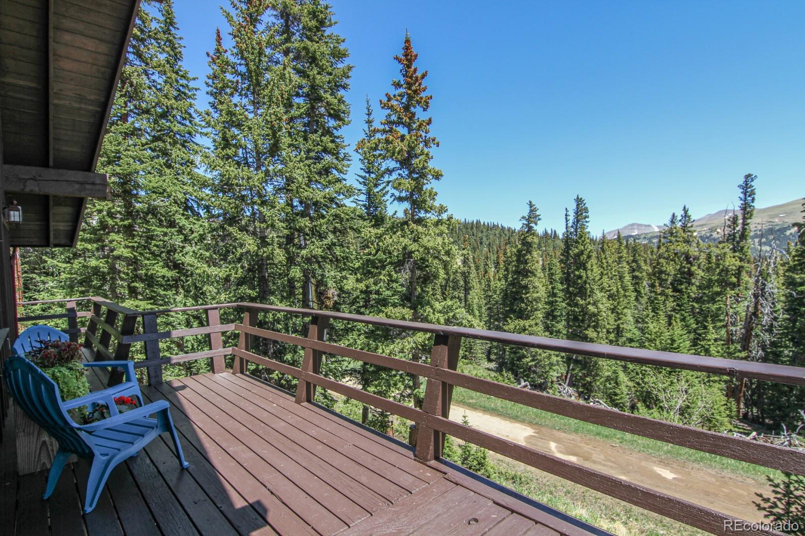 MLS Image #5 for 135  nugget lane,alma, Colorado