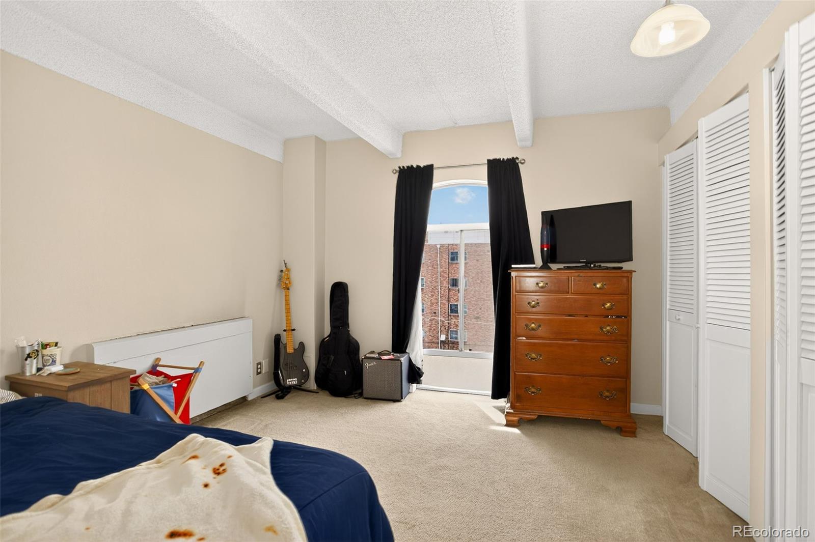 MLS Image #10 for 1365  columbine street,denver, Colorado