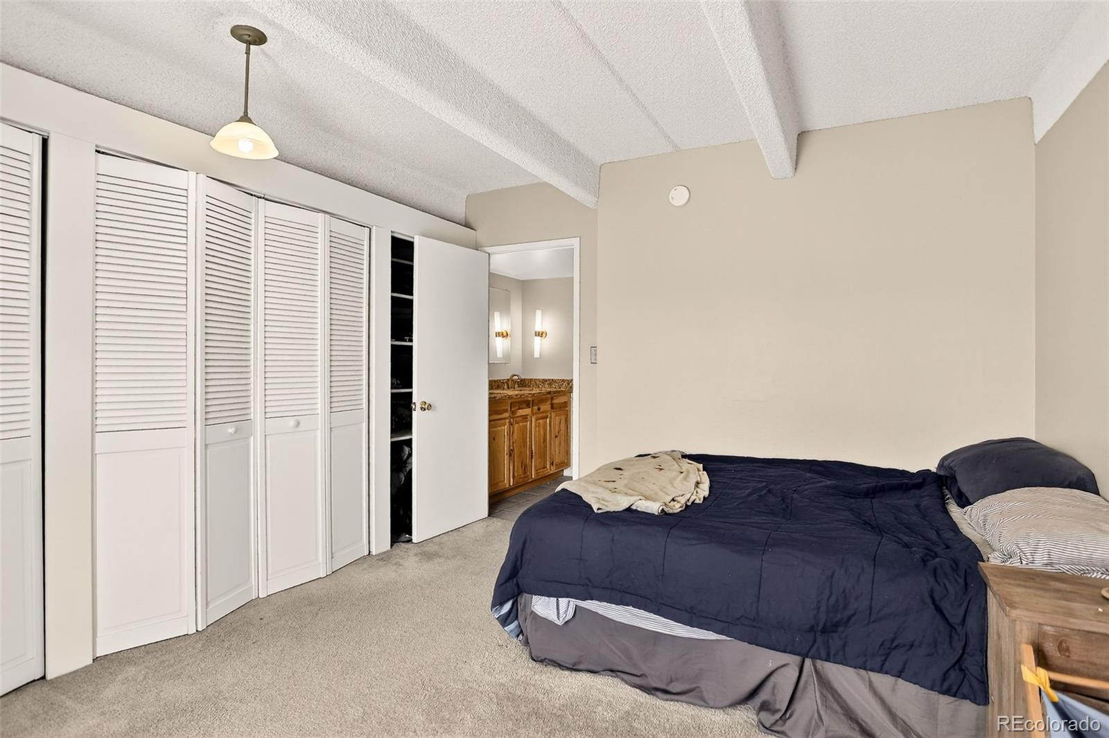 MLS Image #11 for 1365  columbine street,denver, Colorado