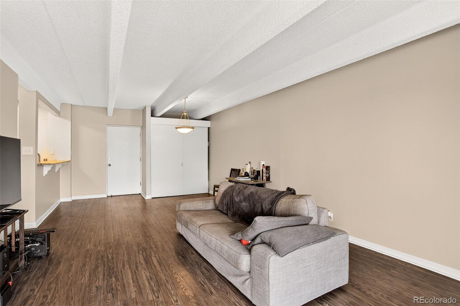 MLS Image #9 for 1365  columbine street,denver, Colorado