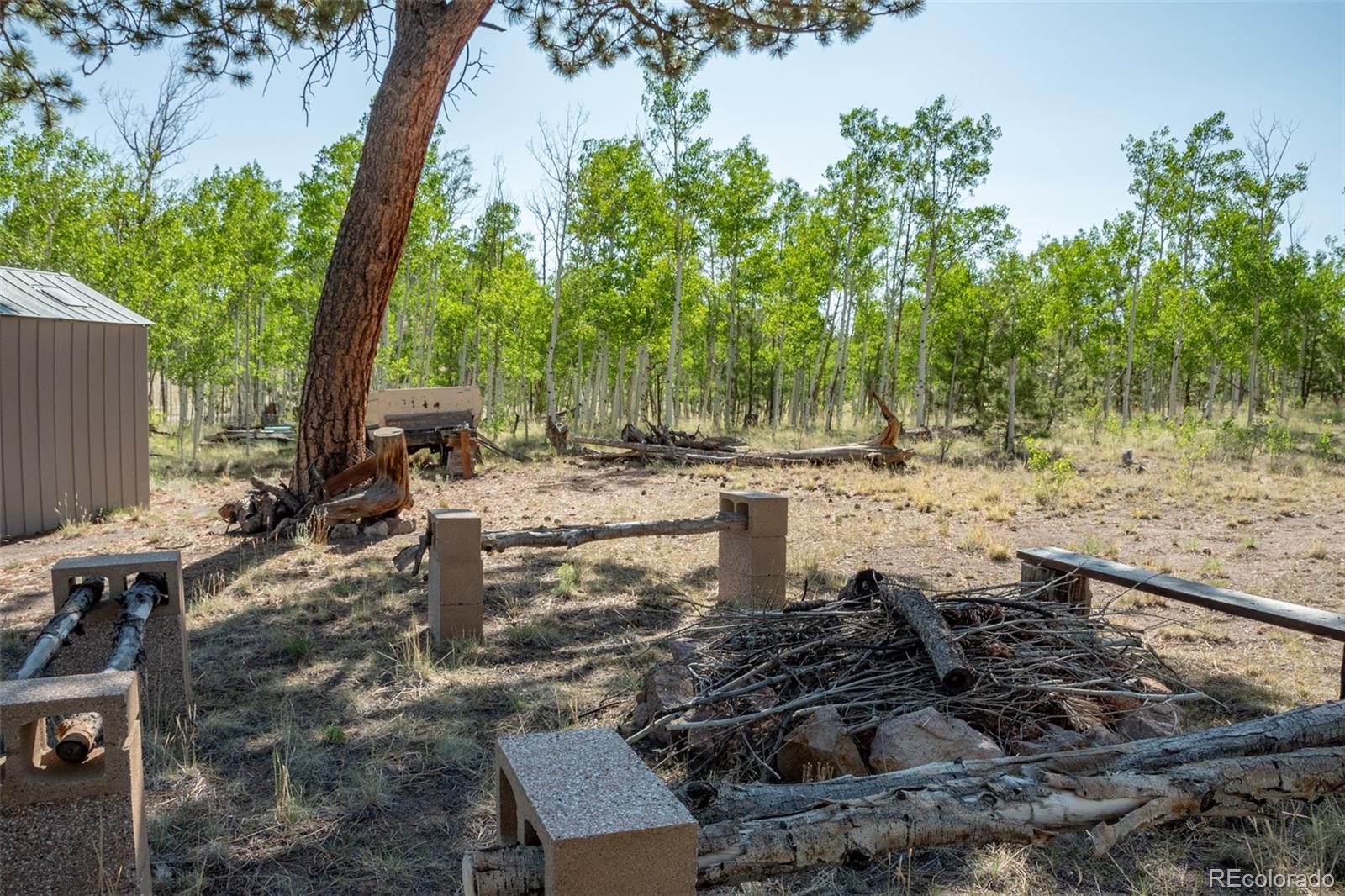MLS Image #13 for 91  canteen way,hartsel, Colorado