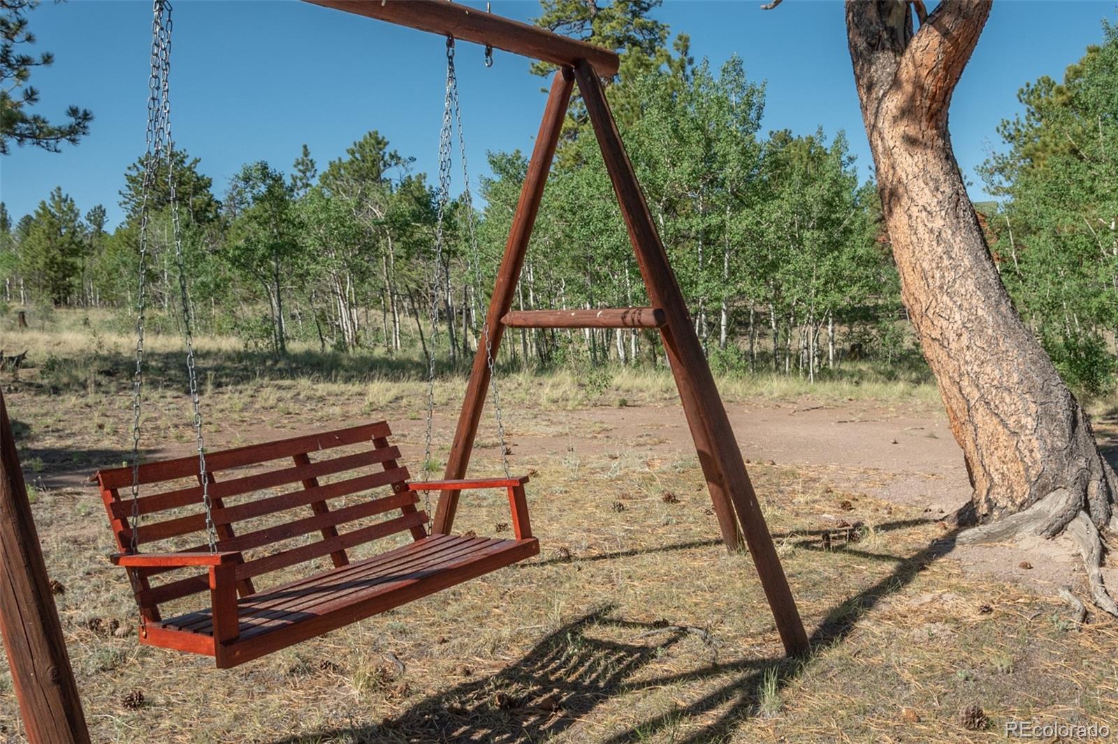 MLS Image #16 for 91  canteen way,hartsel, Colorado