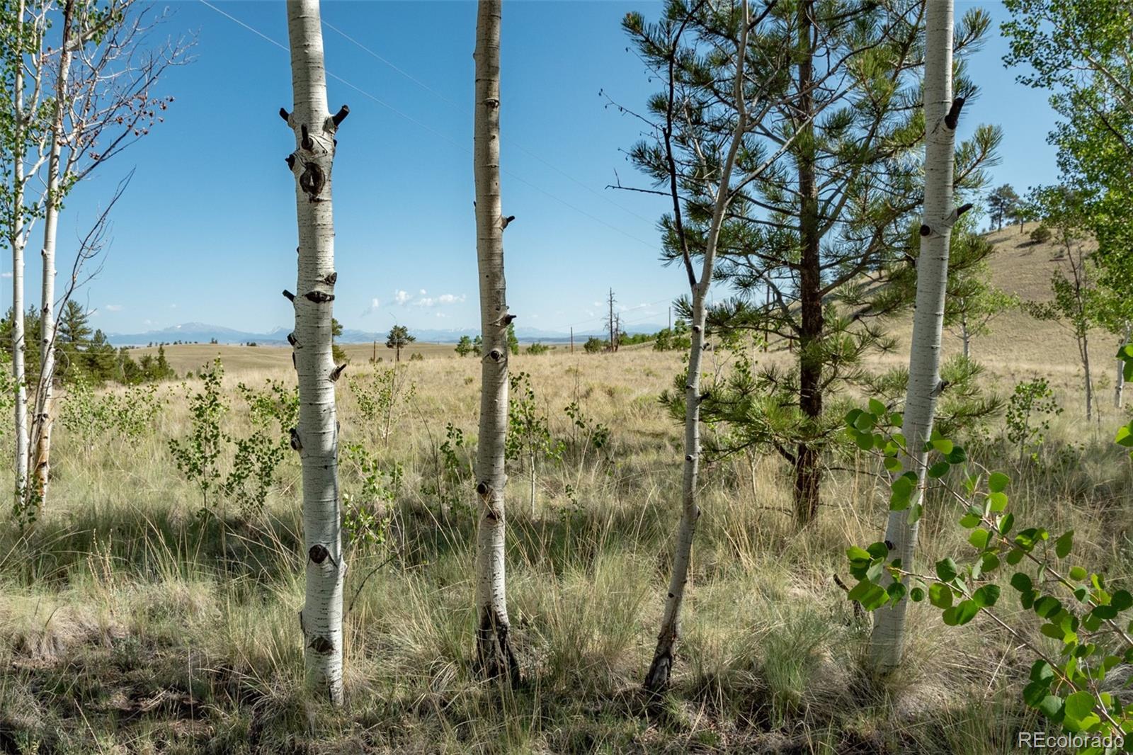 MLS Image #18 for 91  canteen way,hartsel, Colorado