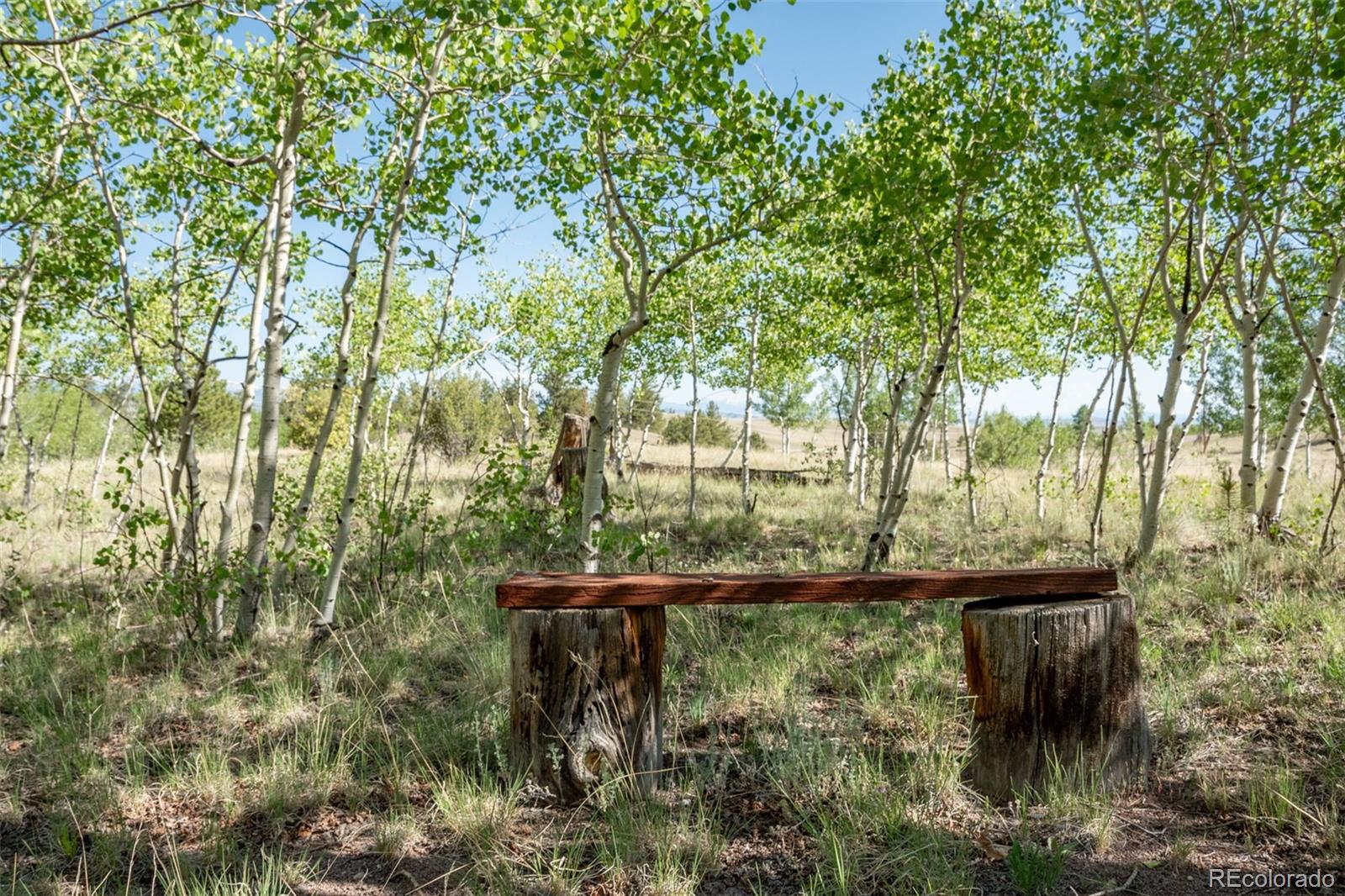 MLS Image #19 for 91  canteen way,hartsel, Colorado