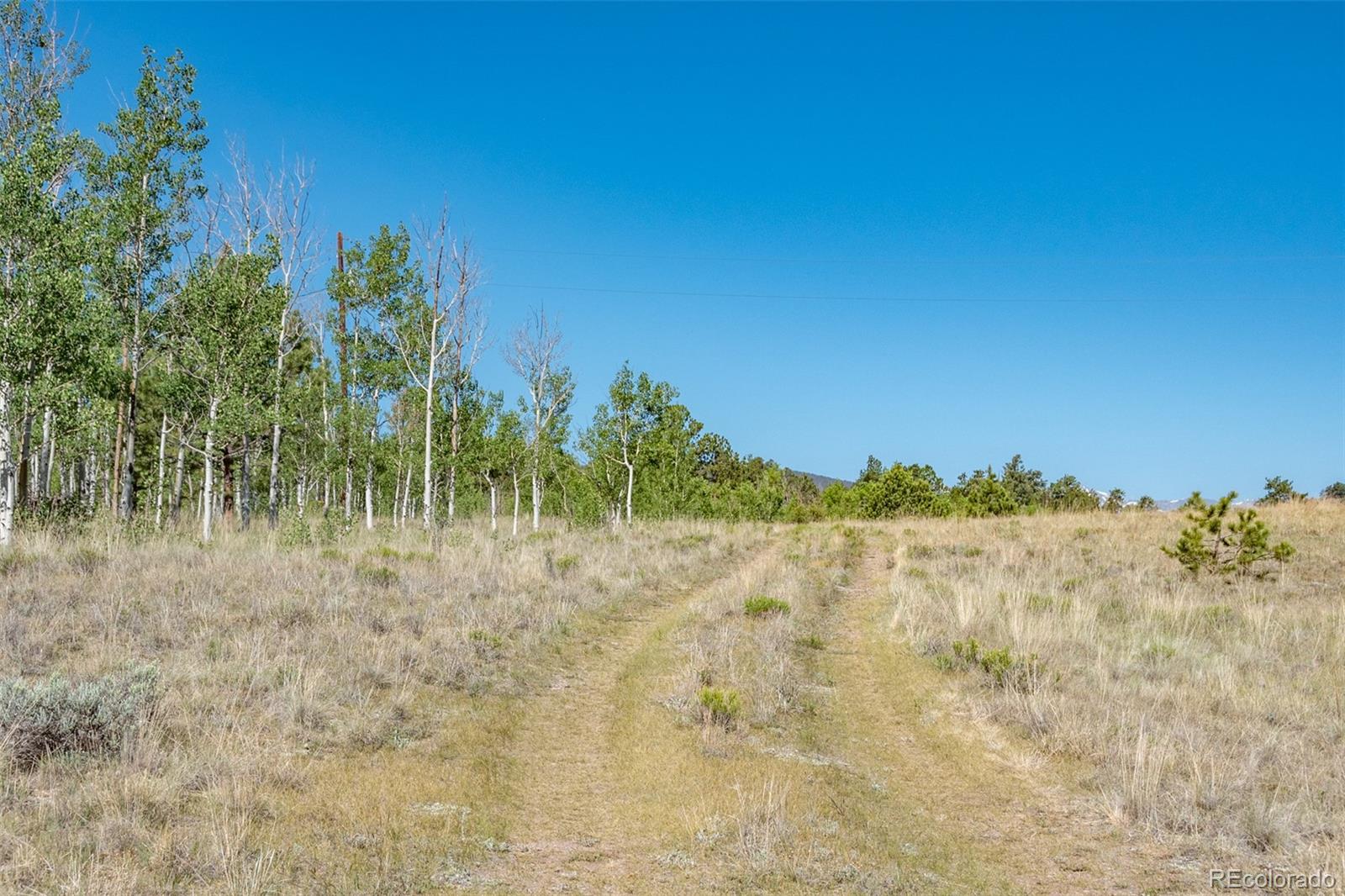 MLS Image #20 for 91  canteen way,hartsel, Colorado