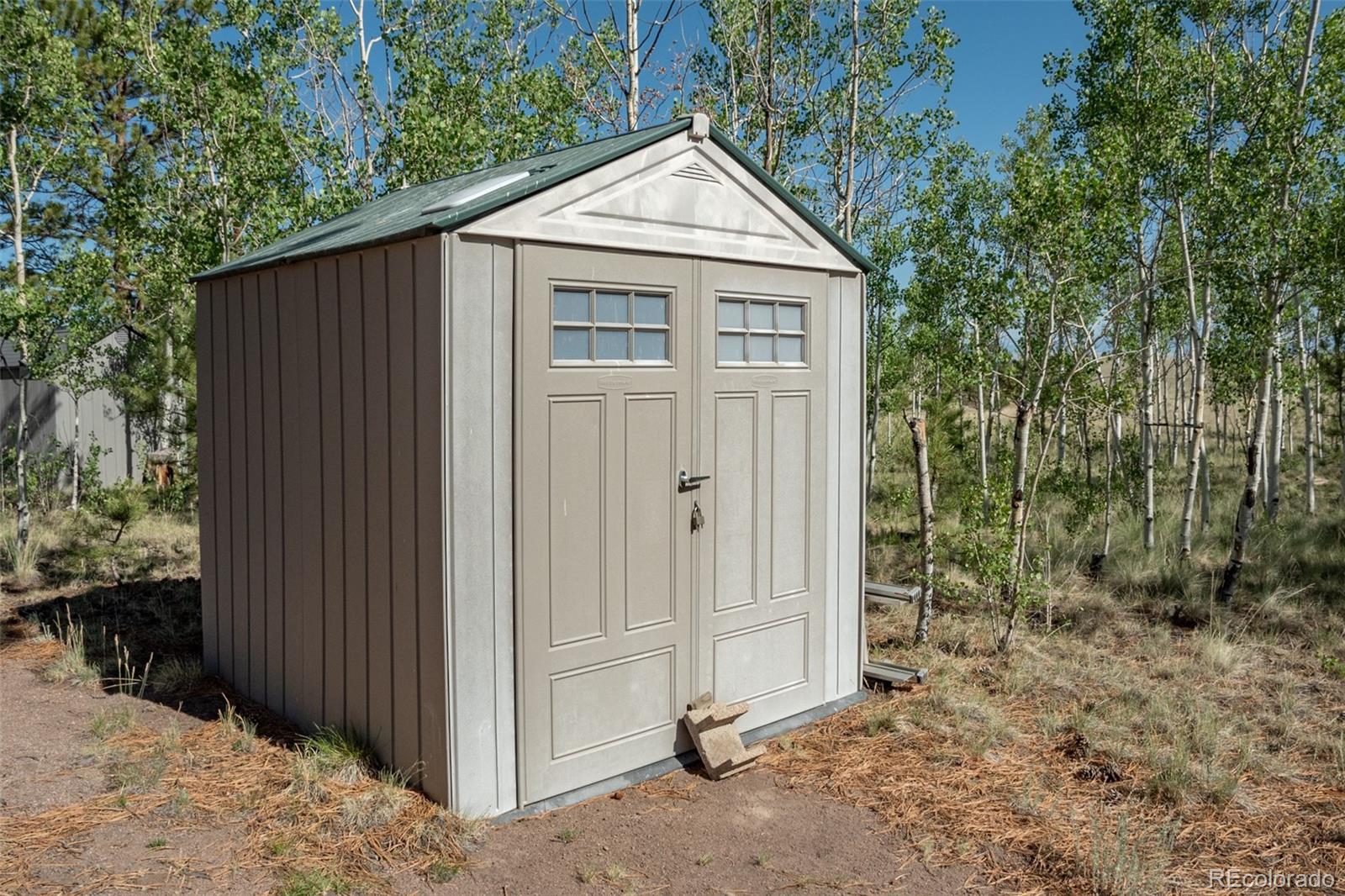 MLS Image #23 for 91  canteen way,hartsel, Colorado
