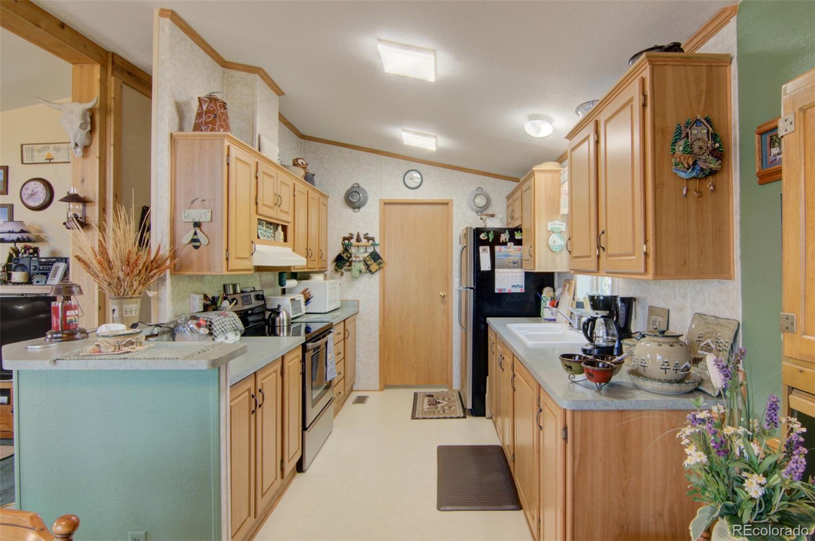 MLS Image #32 for 91  canteen way,hartsel, Colorado