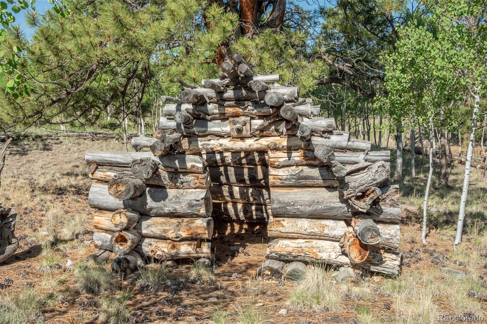 MLS Image #45 for 91  canteen way,hartsel, Colorado