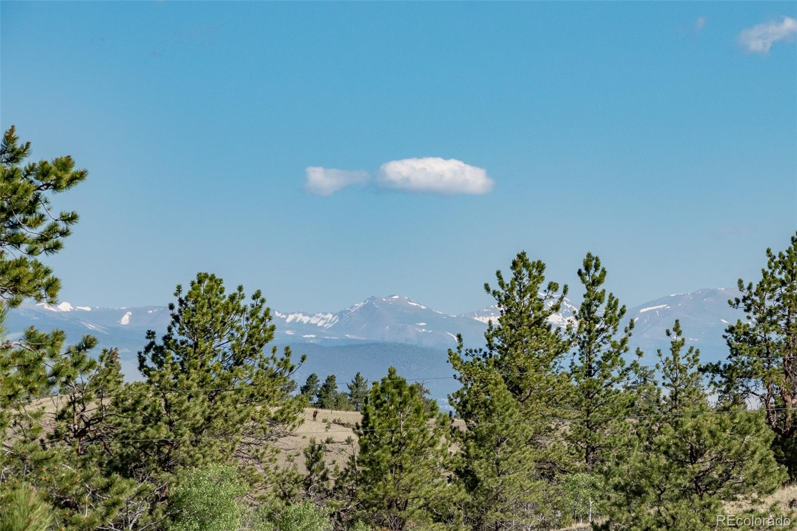 MLS Image #8 for 91  canteen way,hartsel, Colorado