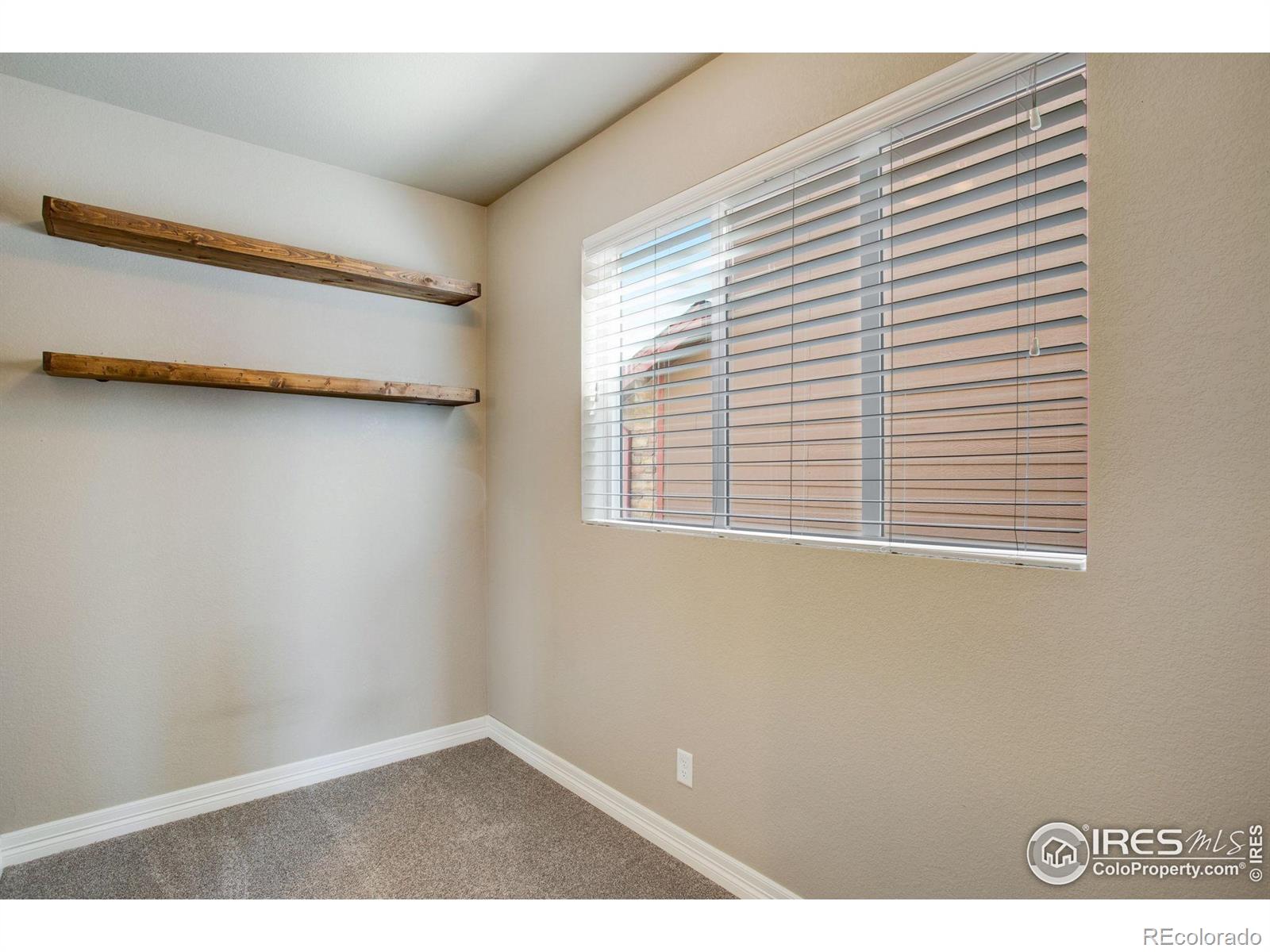 MLS Image #21 for 2227  sherwood forest court,fort collins, Colorado