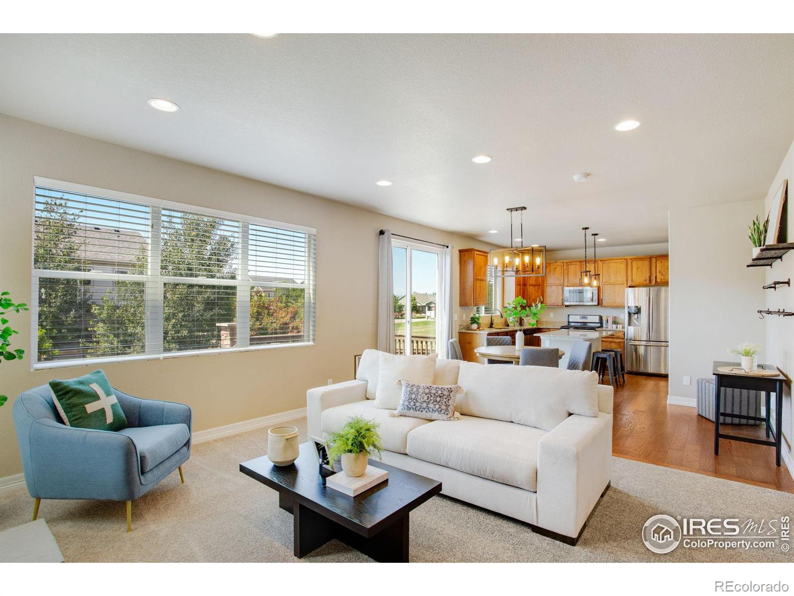 MLS Image #9 for 2227  sherwood forest court,fort collins, Colorado