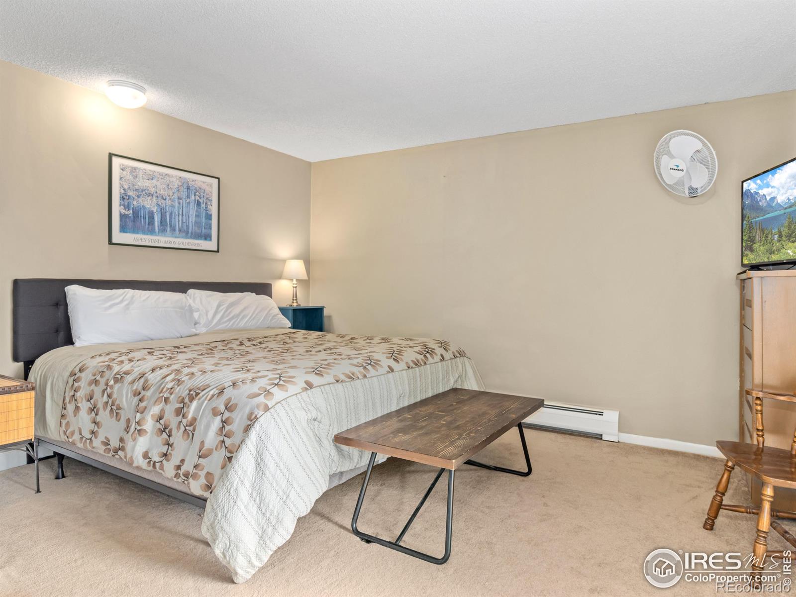 MLS Image #20 for 1721  windham court,estes park, Colorado