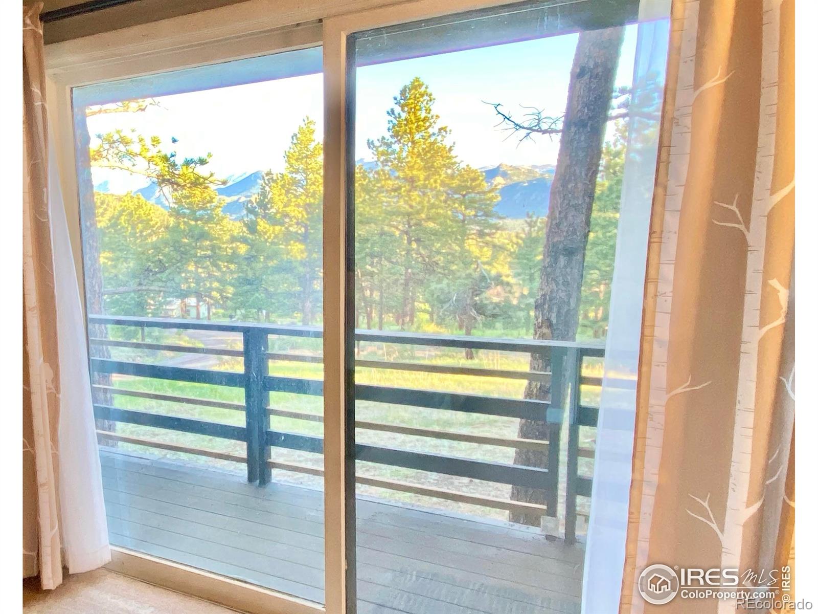 MLS Image #23 for 1721  windham court,estes park, Colorado