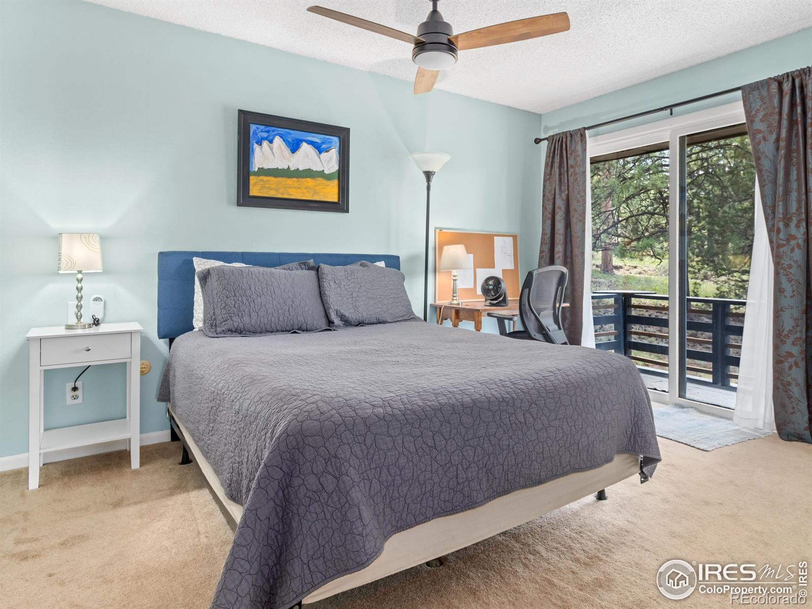MLS Image #24 for 1721  windham court,estes park, Colorado