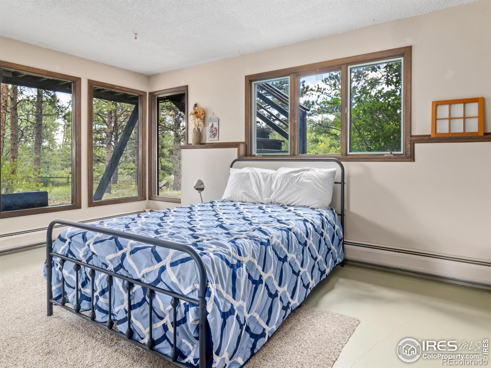 MLS Image #30 for 1721  windham court,estes park, Colorado