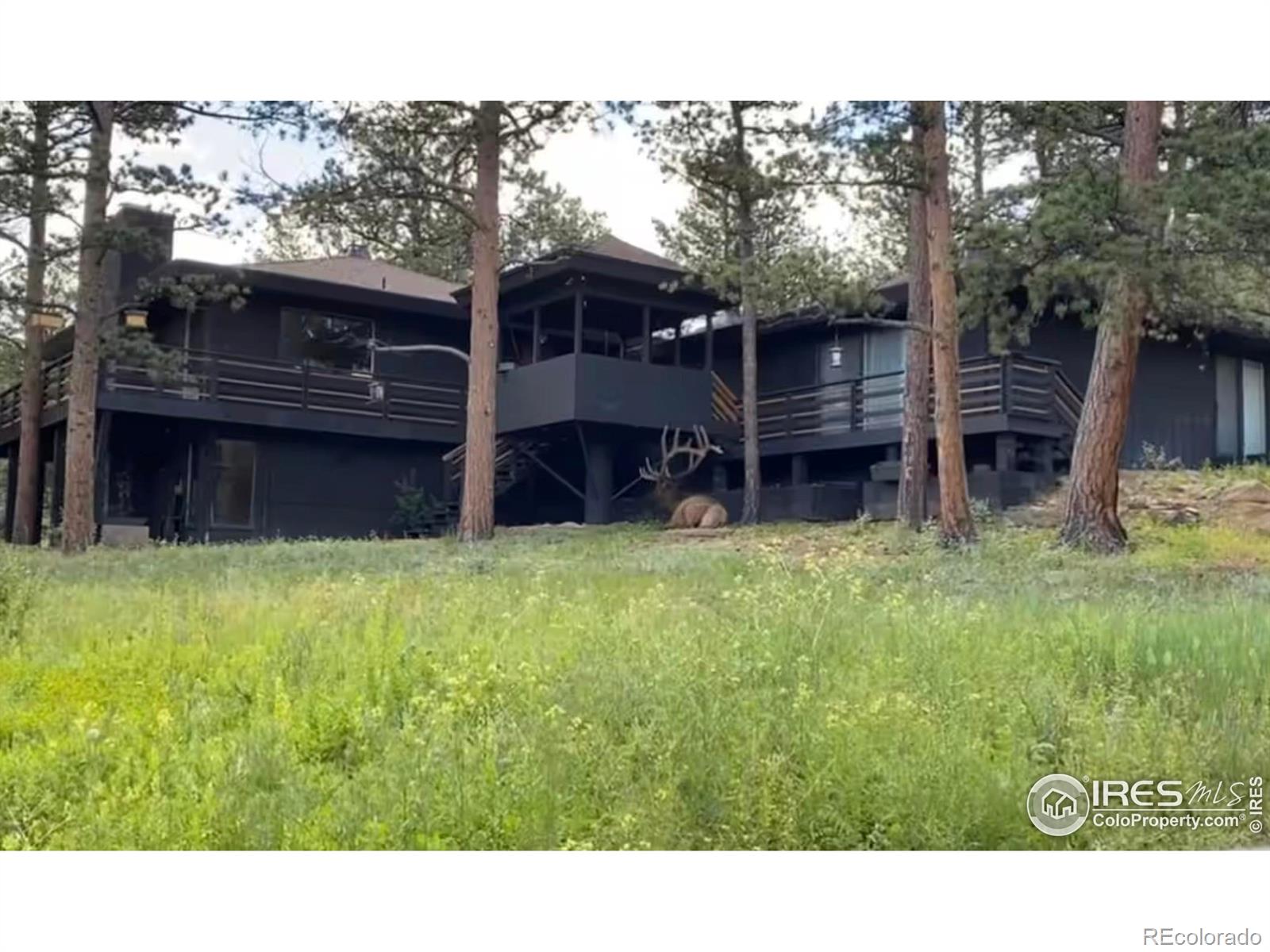 MLS Image #39 for 1721  windham court,estes park, Colorado