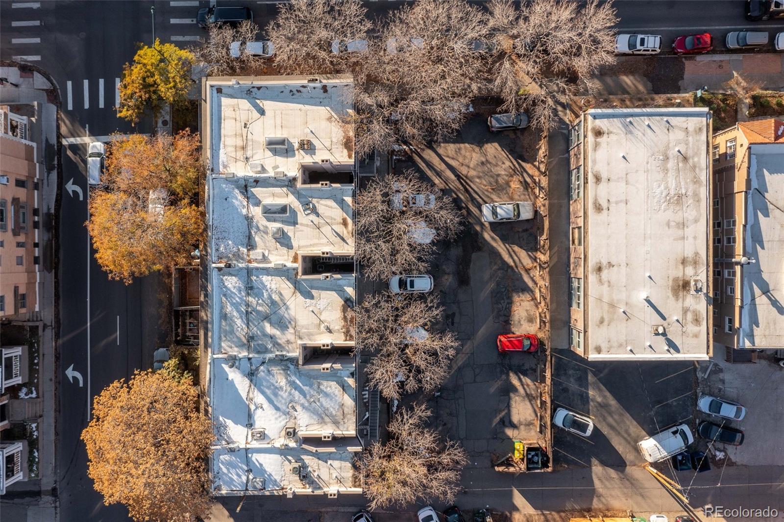 MLS Image #17 for 1310 n corona street a,denver, Colorado