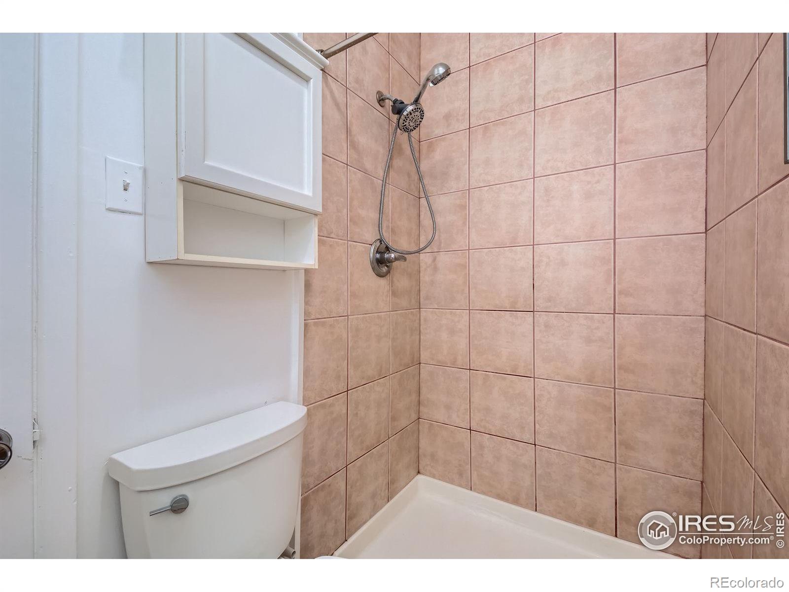 MLS Image #11 for 315 e magnolia street,fort collins, Colorado