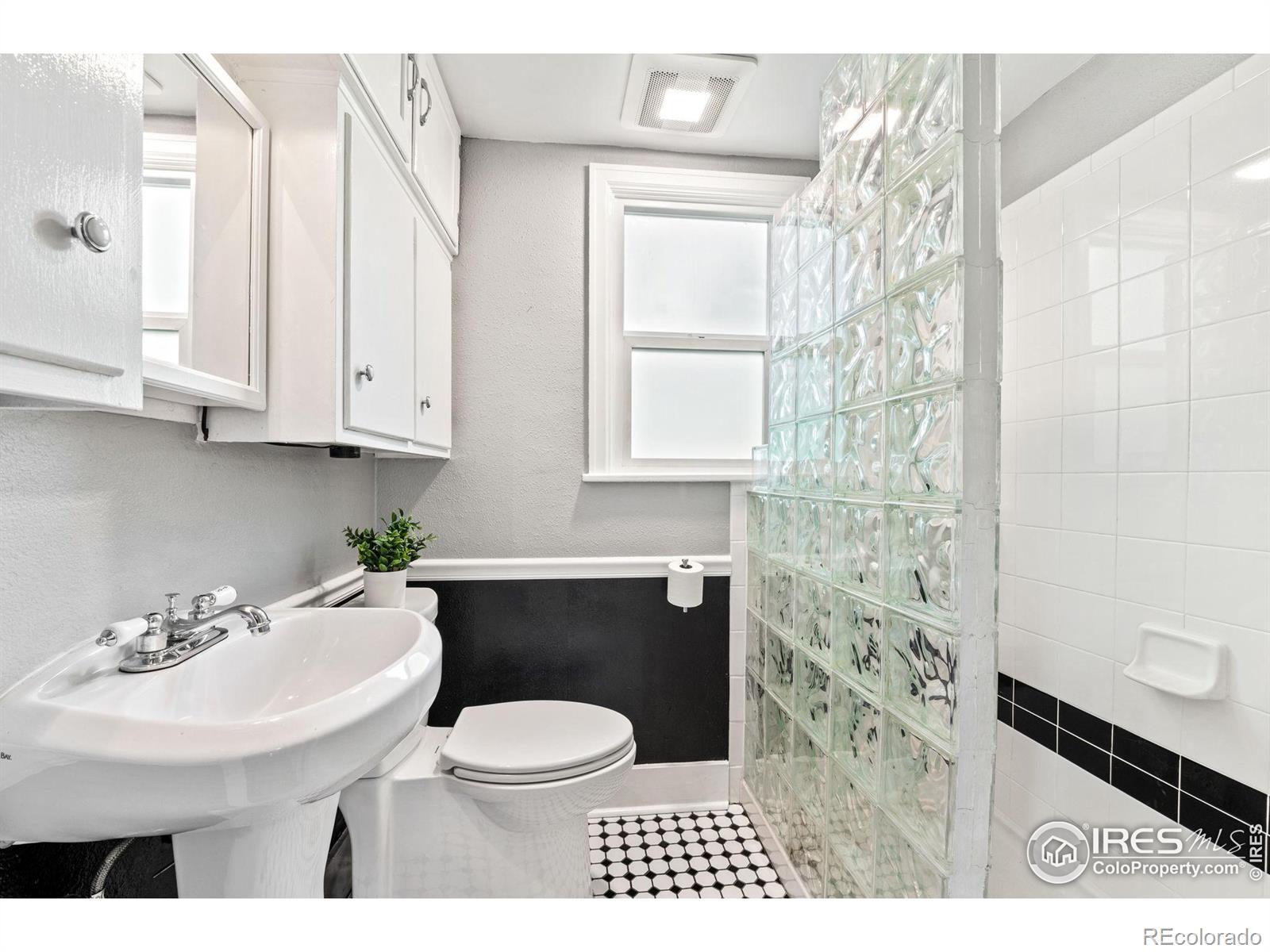 MLS Image #22 for 222  vivian street,longmont, Colorado