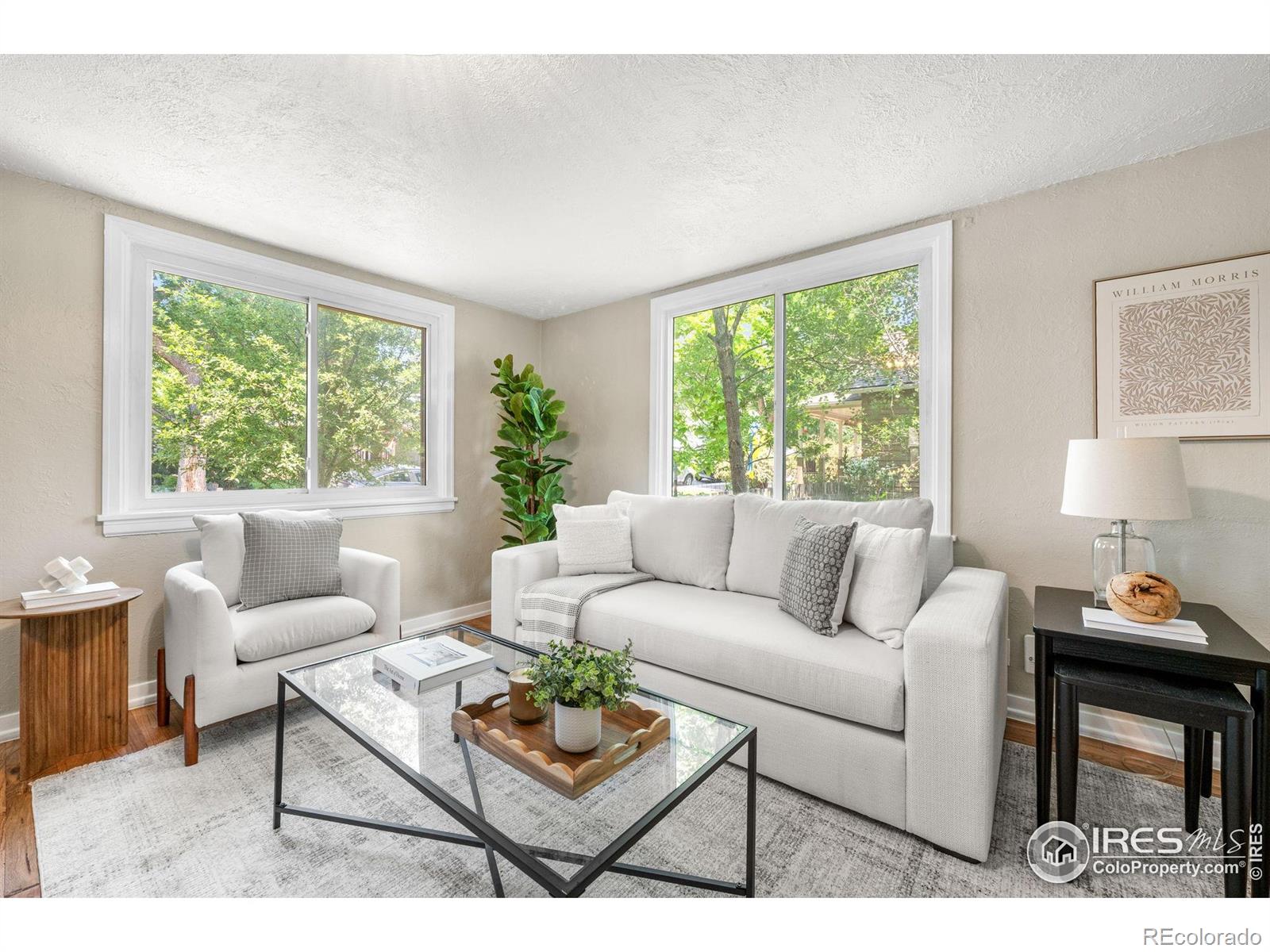 MLS Image #4 for 222  vivian street,longmont, Colorado