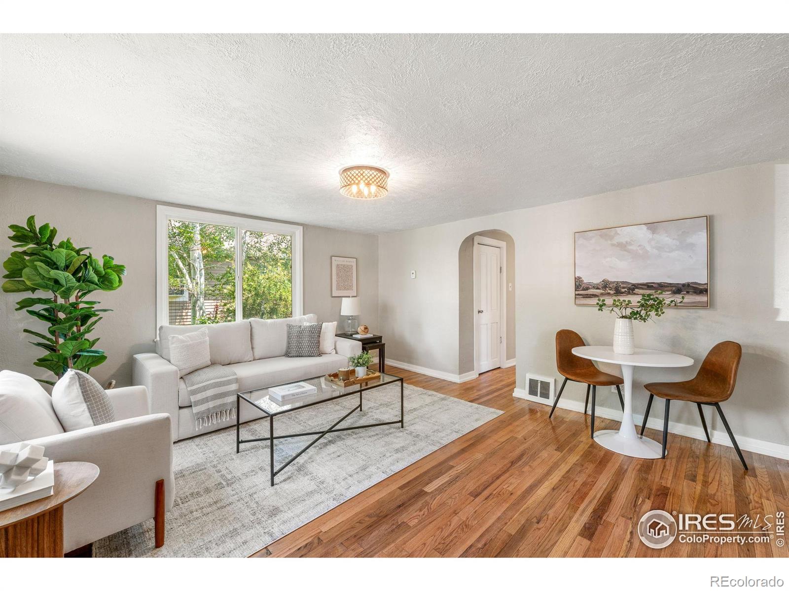 MLS Image #5 for 222  vivian street,longmont, Colorado