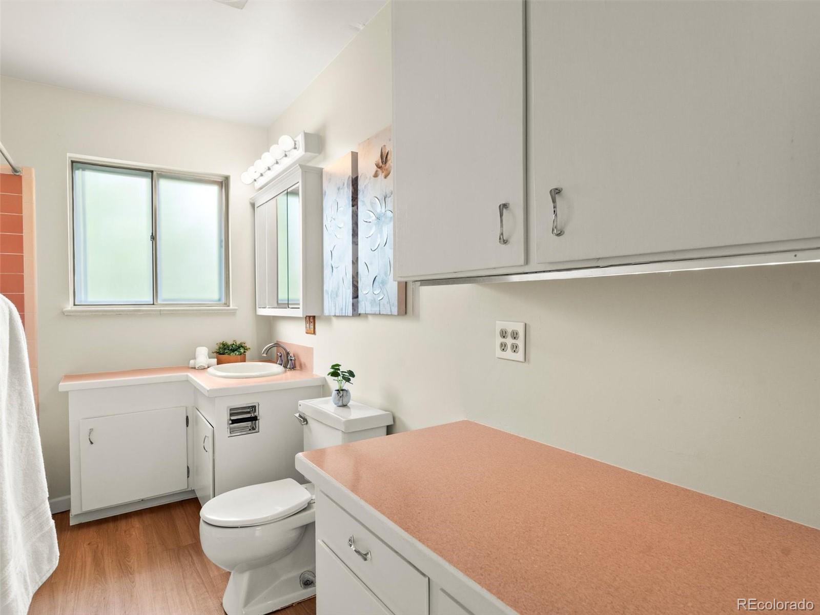 MLS Image #19 for 1075  dudley street,lakewood, Colorado