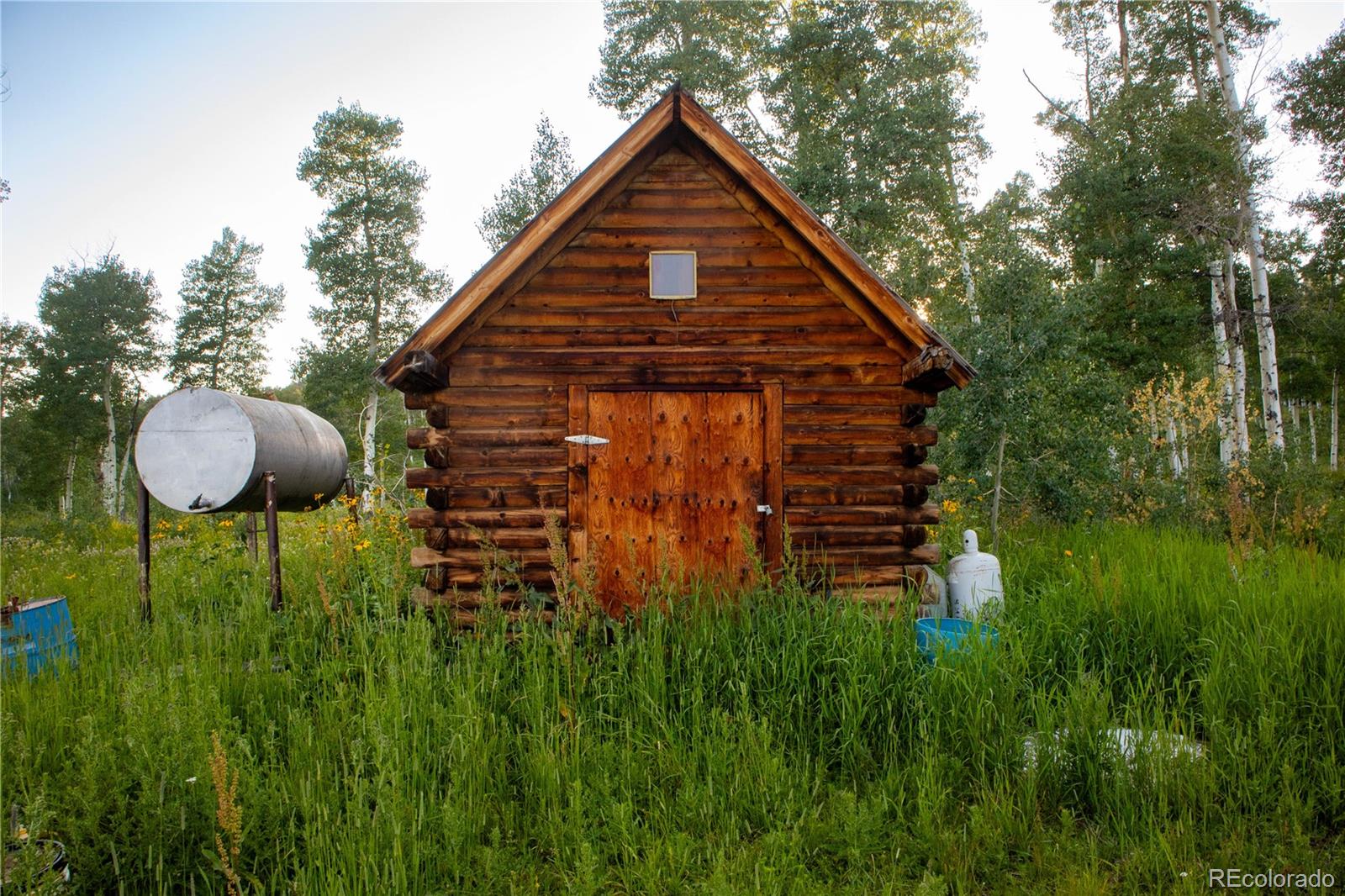 MLS Image #17 for 52700  quaker mtn circle,hayden, Colorado