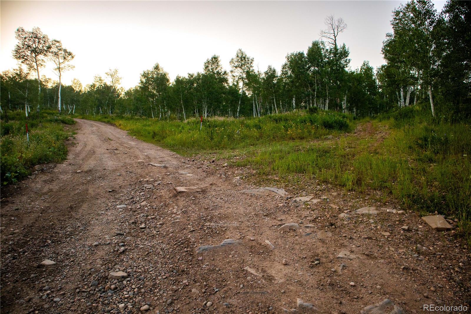 MLS Image #21 for 52700  quaker mtn circle,hayden, Colorado